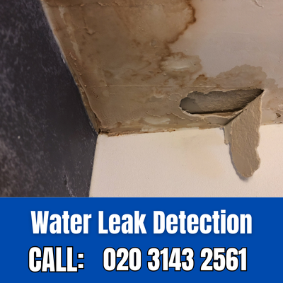 Expert Water Leak Detection Services in Parson's Green | Parson's Green Leak Detection